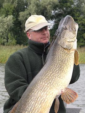 Marcel van Duinhoven